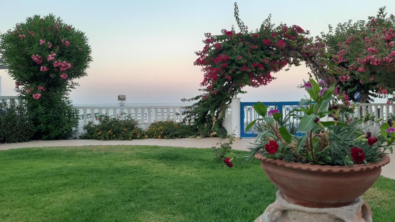 Antonios Apartments Stegna 아크앤젤로스 외부 사진